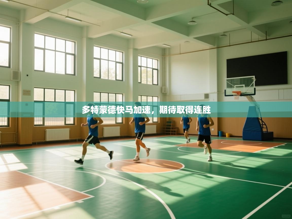 多特蒙德快马加速,期待取得连胜 第1张