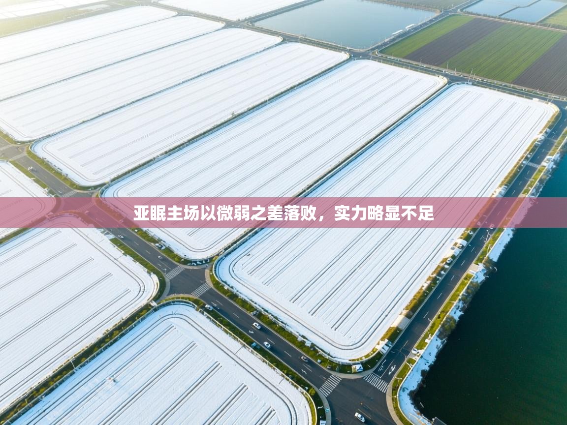 亚眠主场以微弱之差落败，实力略显不足