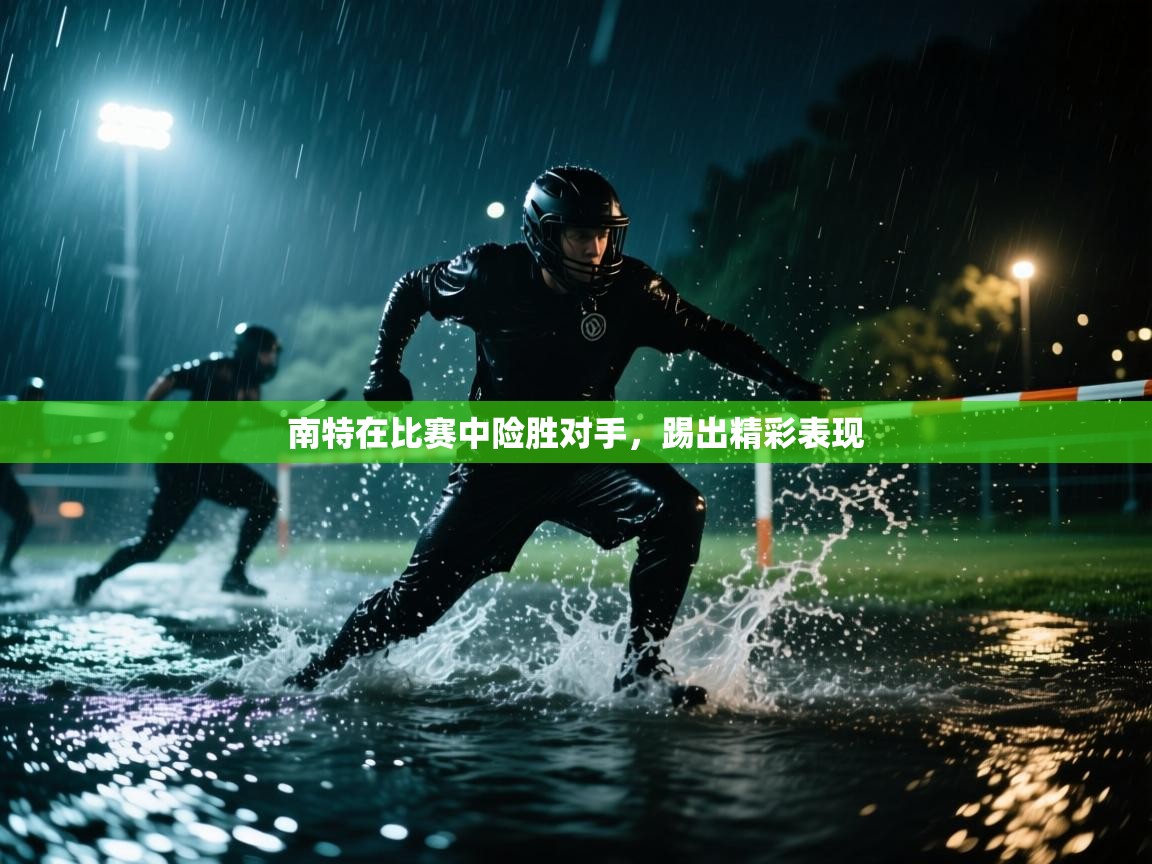 南特在比赛中险胜对手，踢出精彩表现  第1张