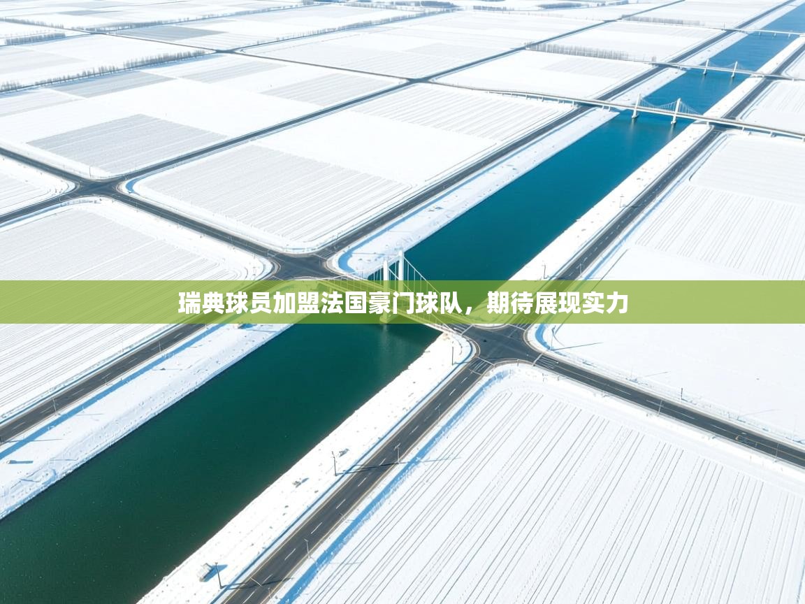 瑞典球员加盟法国豪门球队，期待展现实力