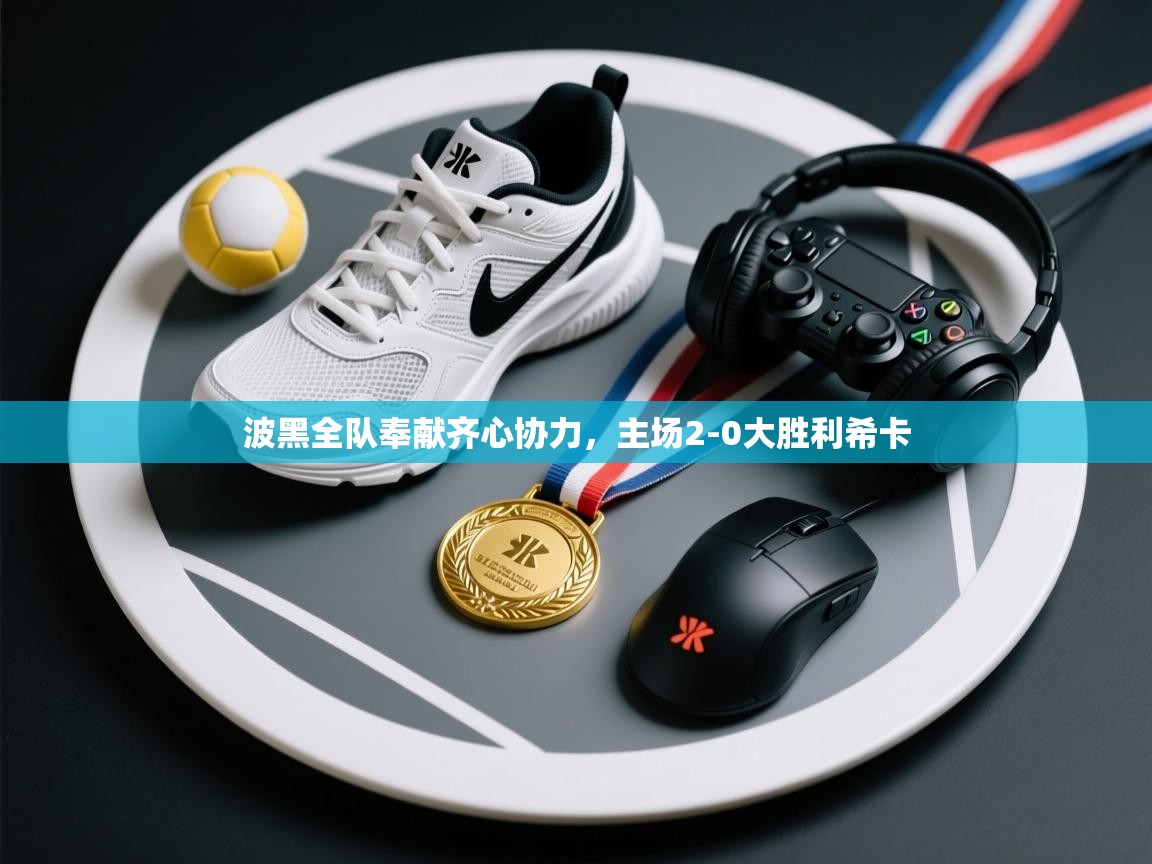 波黑全队奉献齐心协力，主场2-0大胜利希卡  第2张