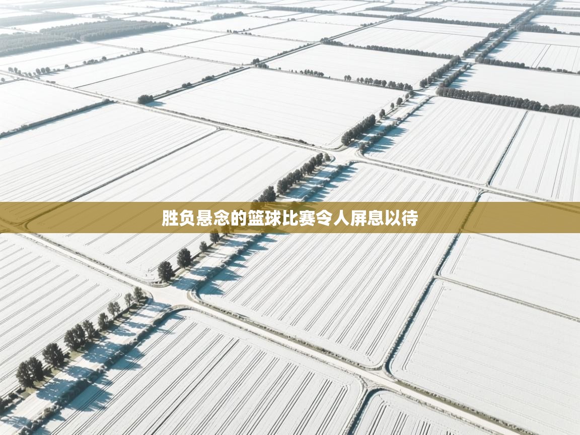 胜负悬念的篮球比赛令人屏息以待  第2张