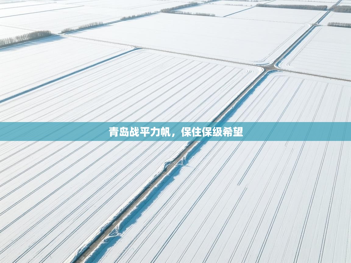 青岛战平力帆,保住保级希望 第2张